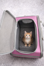 Premium Fileli Nefes Alabilir Pembe Kedi Taşıma Çantası - Görsel 2