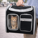 Premium Çok Bölmeli Siyah Kedi Taşıma Çantası